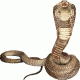 KingCobra's Avatar